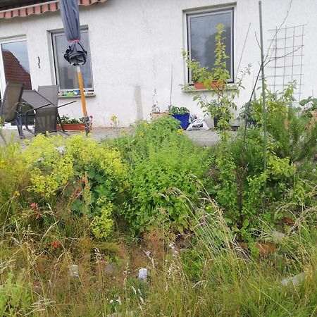 Ferienwohnung Wittenburg Εξωτερικό φωτογραφία