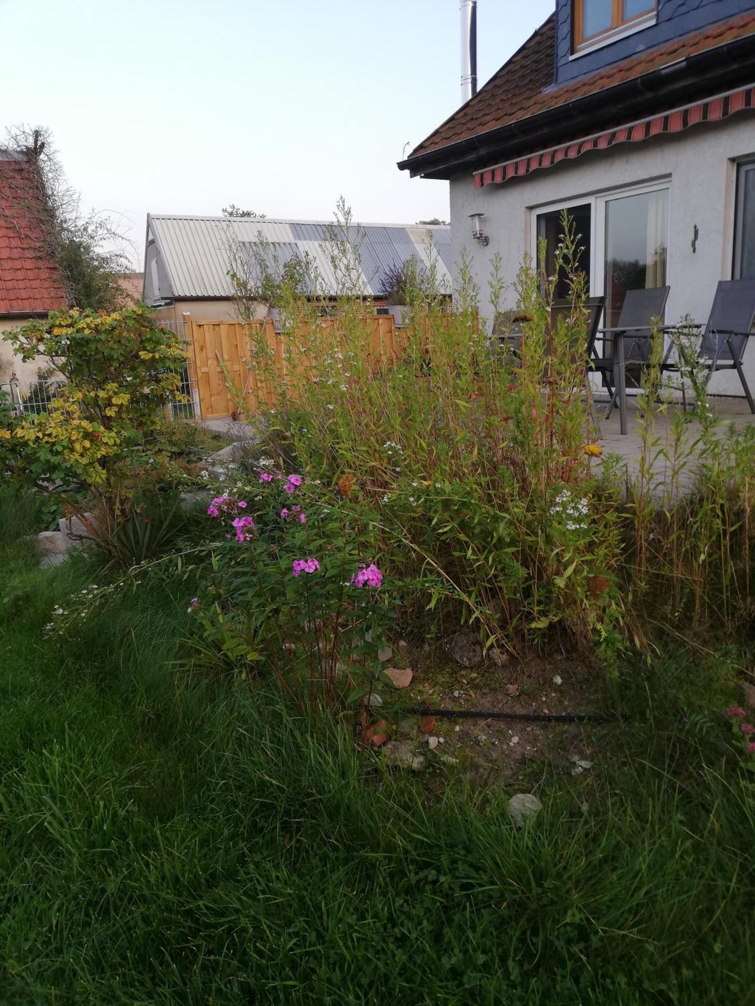 Ferienwohnung Wittenburg Εξωτερικό φωτογραφία