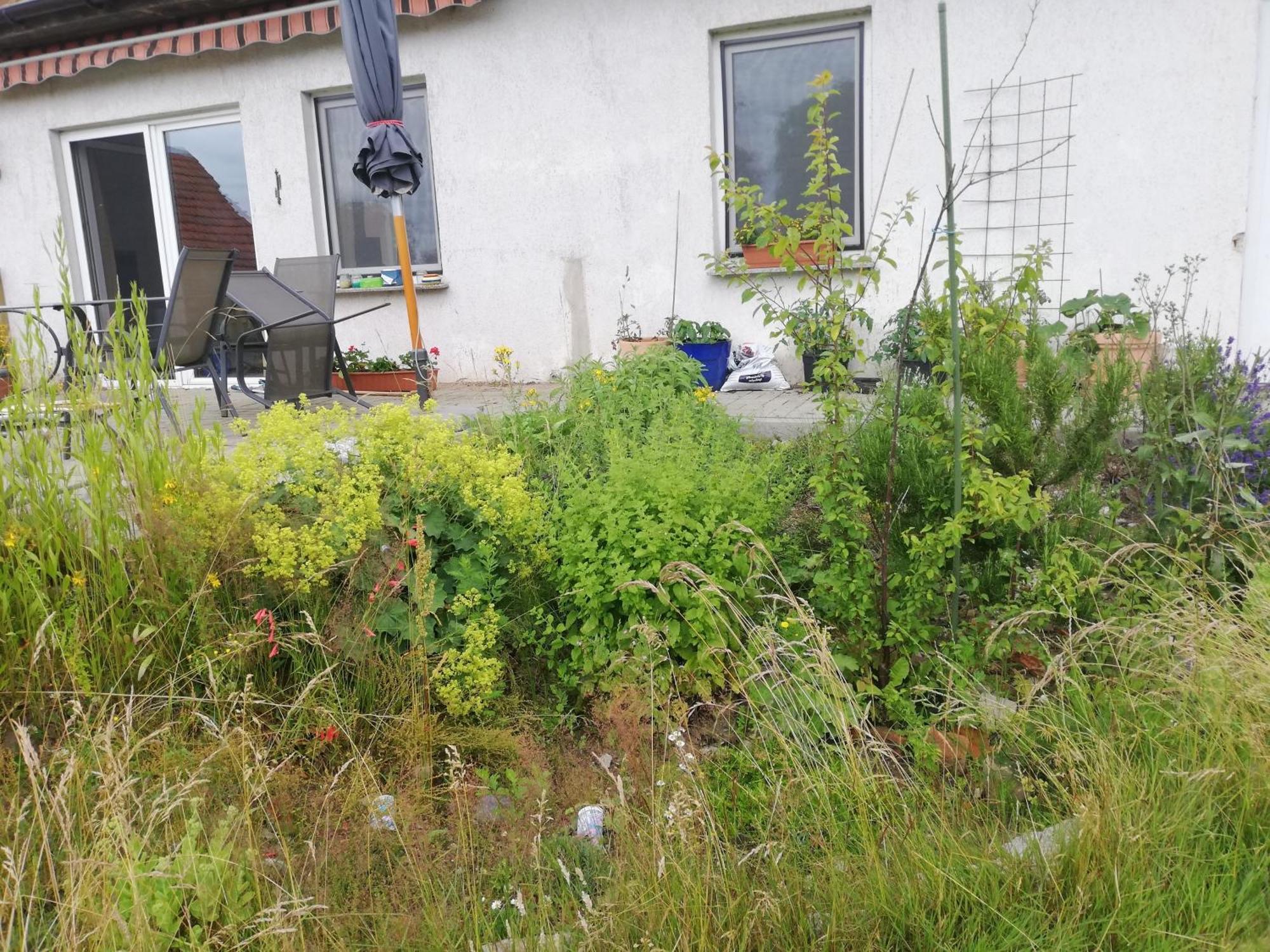 Ferienwohnung Wittenburg Εξωτερικό φωτογραφία